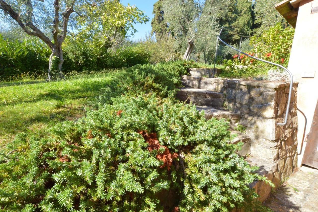 فيلا La Migliana By Nicola Real Estate Corsanico-Bargecchia المظهر الخارجي الصورة